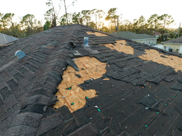 Best Roof Insulation Installation  in Dickinson, ND